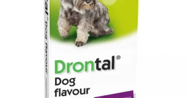 Drontal Dog Flavour, deparazitare interna caini, 1 tableta Ofertă exclusivă